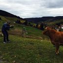 Schwarzwald cynicals