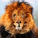 Wannabe Lions