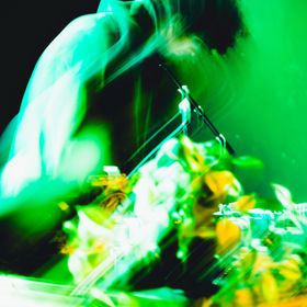 Trix Venster Show