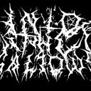 Into The Gallows