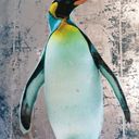 The frozen penguins