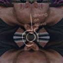 driving on salvia