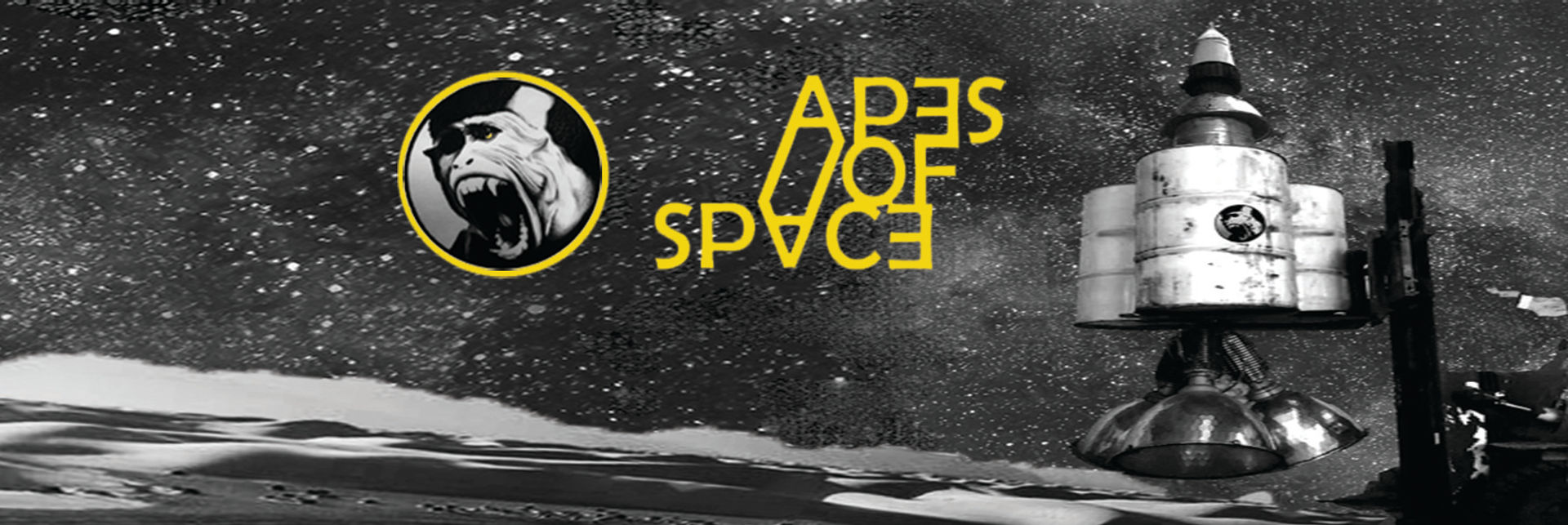 Apes Of Space