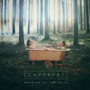 CAPPAERT