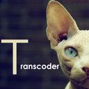 Transcoder