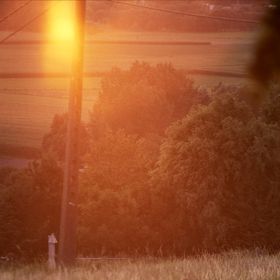 Morning in Sports Avenue © Stijn Verschelden