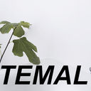 Temal