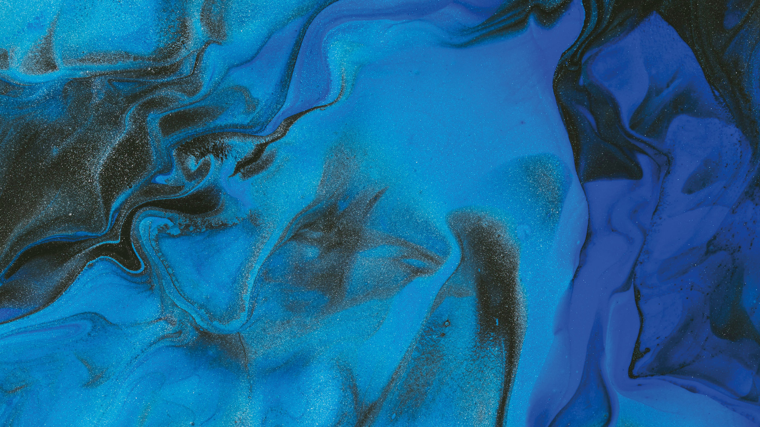 Ponto: een nieuw digitaal platform voor (subsidie)aanvragen