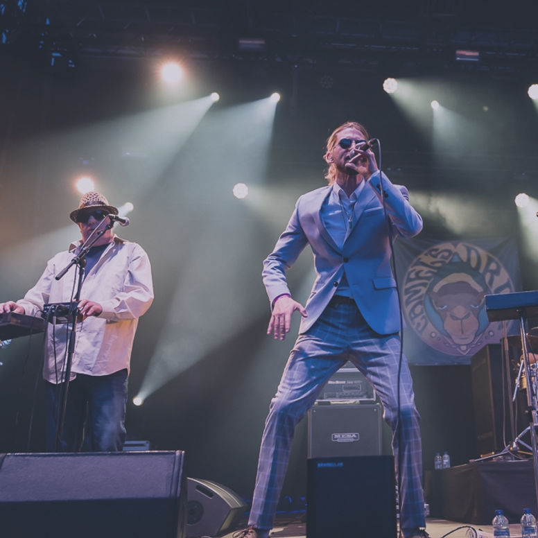 VI.BE ongehoord: Johan Tackx selecteert Camel’s Drop