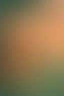 A young girl on a swing gazes at a mockingbird flying past, with a courthouse in the misty background beneath a warm sunset sky.