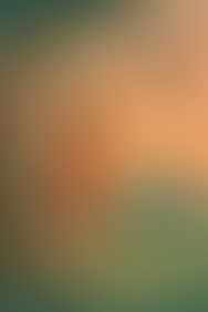 A young girl on a swing gazes at a mockingbird flying past, with a courthouse in the misty background beneath a warm sunset sky.
