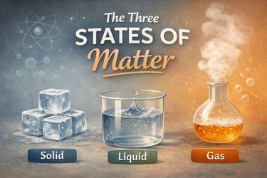 An educational image showing the three states of matter. Ice cubes represent a solid, a beaker of water represents a liquid, and a steaming flask represents a gas, with the heading “The Three States of Matter” above them.