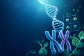 Illustration of DNA, chromosomes, pea plants and a Punnett square for GCSE Biology inheritance revision.