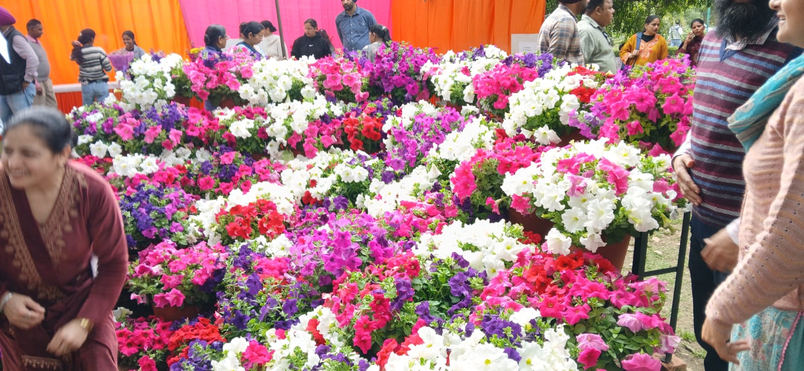 Flower Show