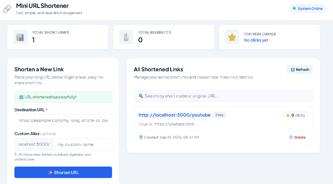 Mini URL Shortener - Link Management System screenshot 2
