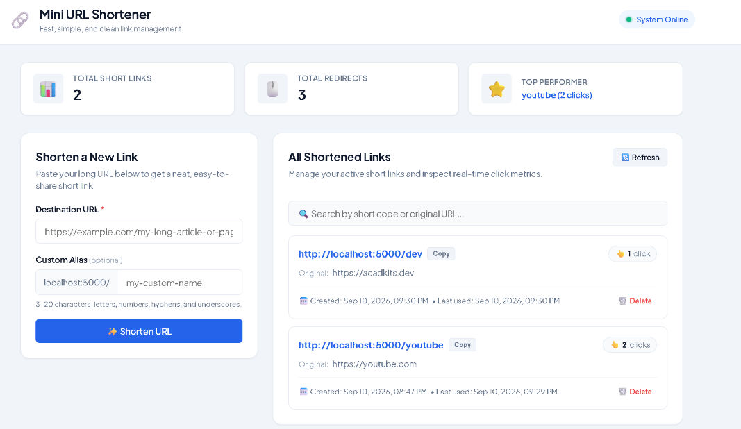 Mini URL Shortener - Link Management System screenshot 3