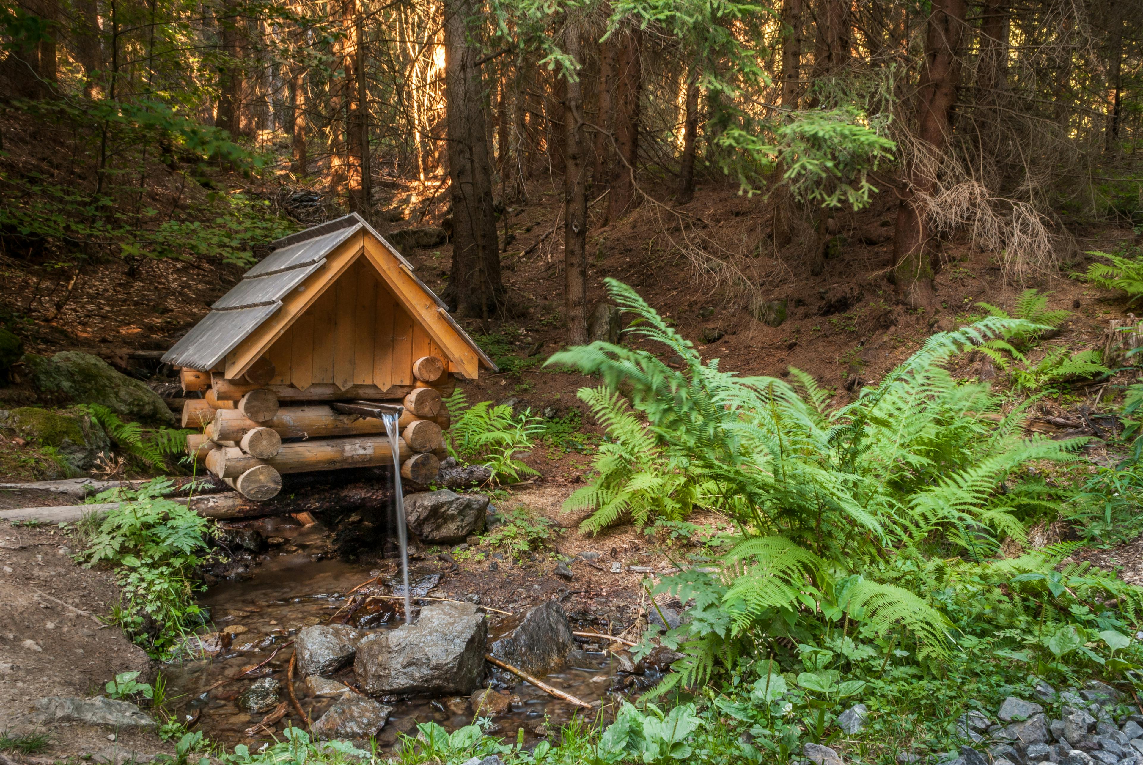 The Backyard Gold Rush: 90 Days of Turning Yard Waste into Garden Wealth