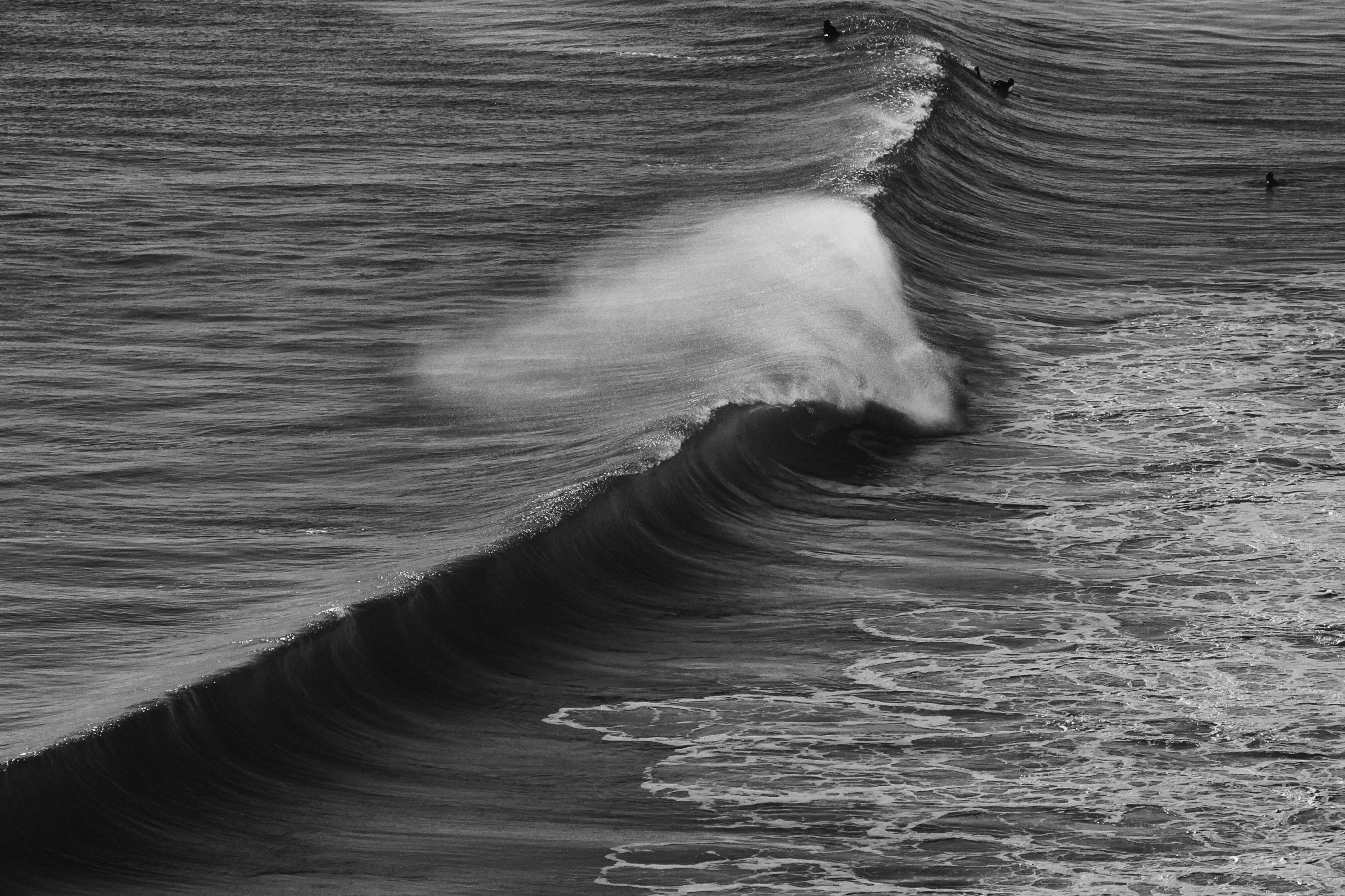 The Physics of the Perfect Wave: Best Curling Tools and Automatic Stylers of 2026
