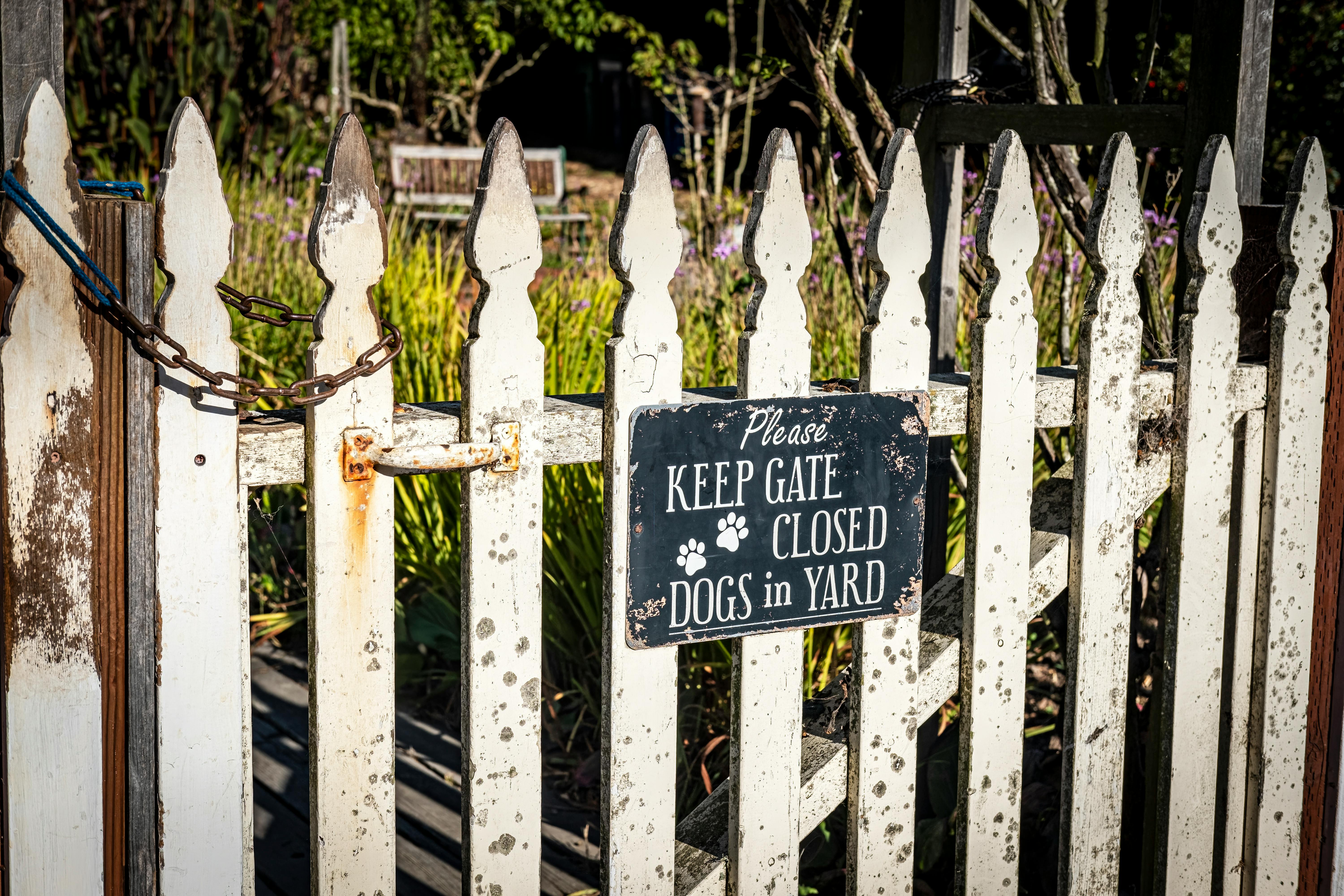 The 2026 Definitive Guide to GPS Dog Fences: Satellite Freedom