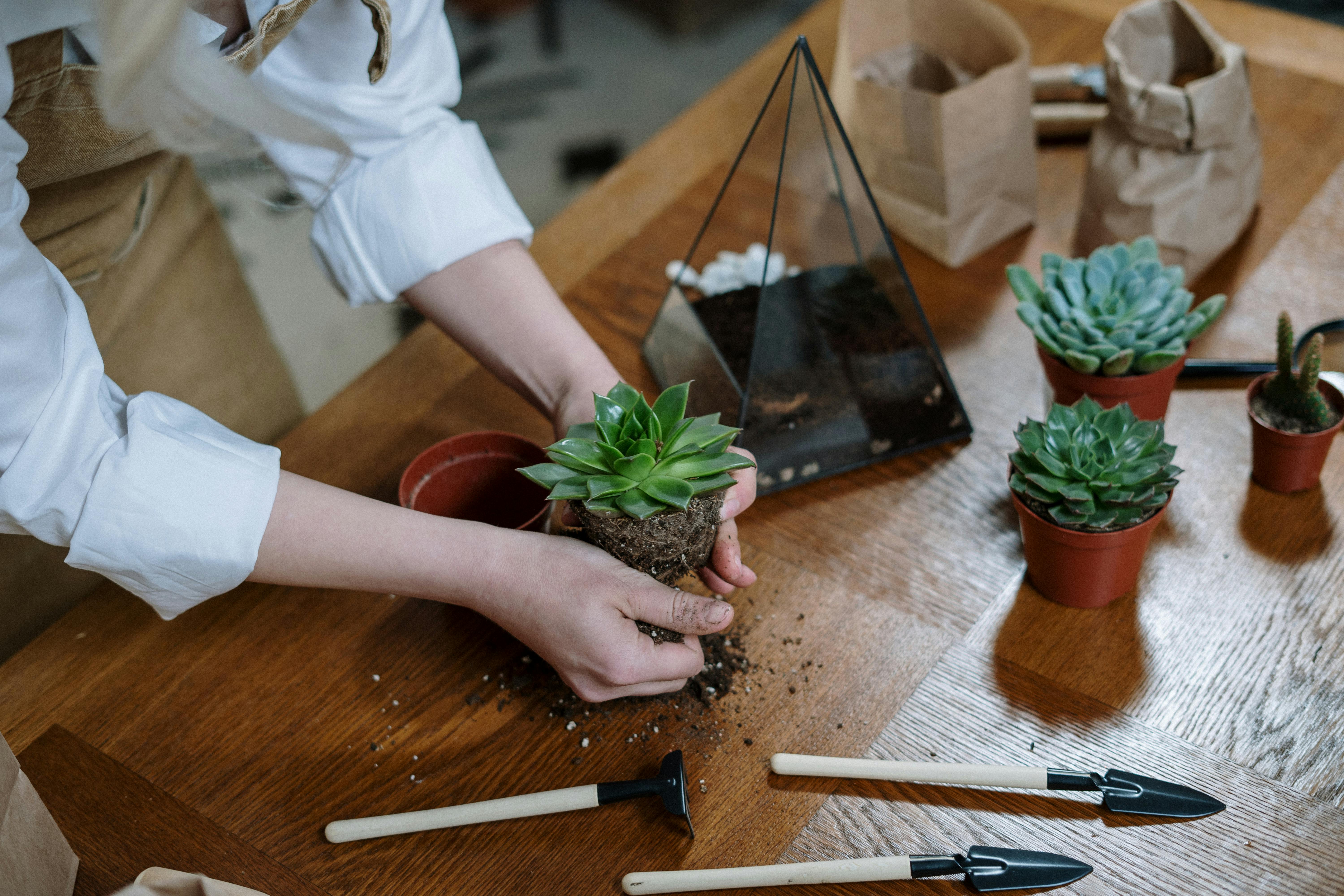 The Edible Indoor Garden: Growing Fresh Flavors and Nutritious Greens Year-Round