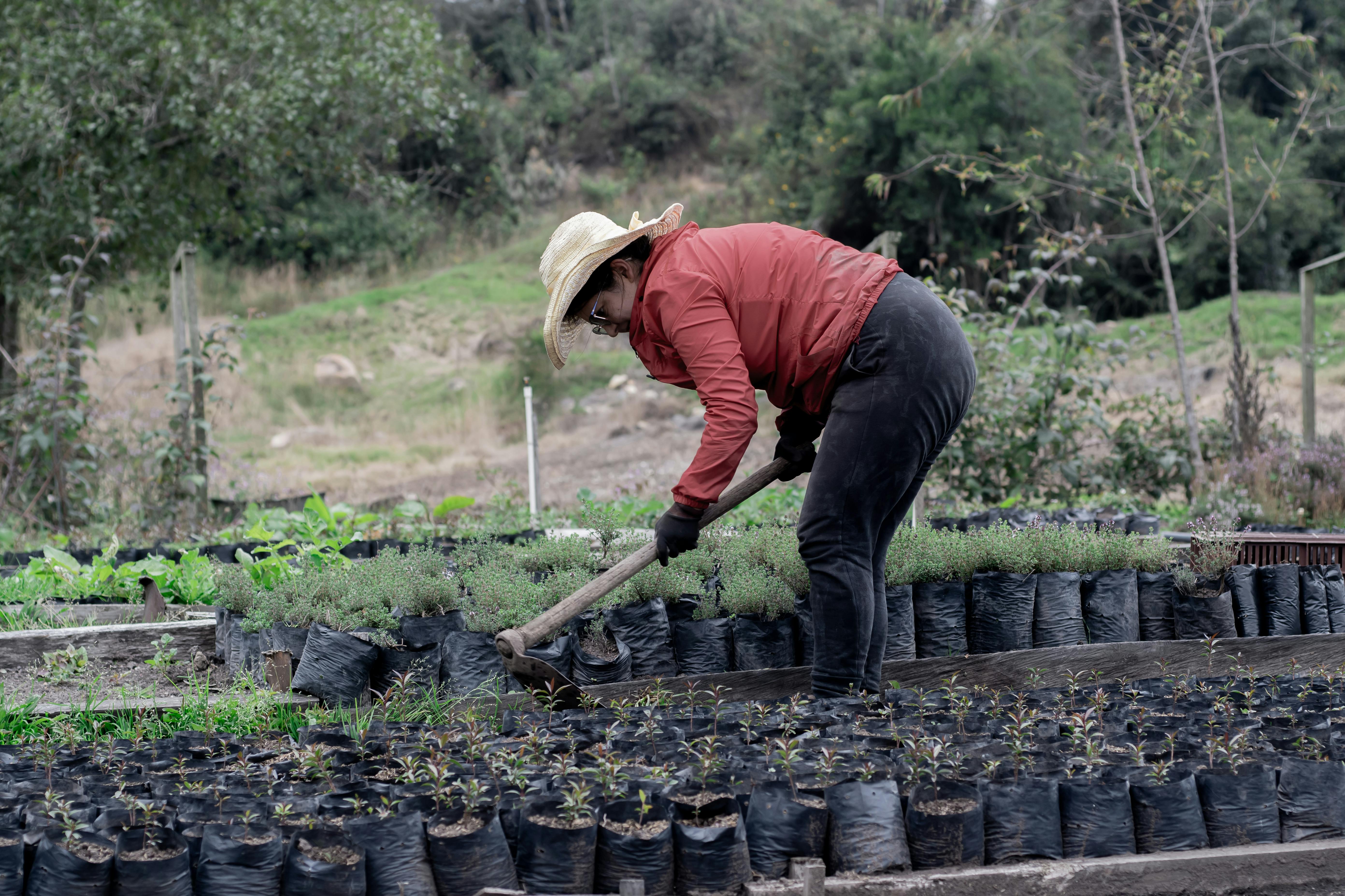 The Forever Foundation: A 5-Year Veteran’s Guide to Raised Bed Materials and Longevity