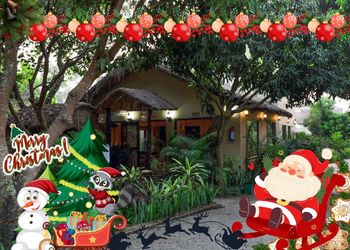 Corbett Tigers N Trees Christmas package