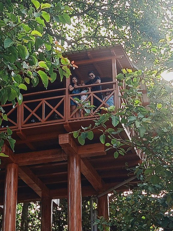 phato zone tree house