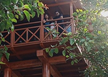 Phato zone tree house package