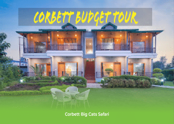 Corbett Budget Tour