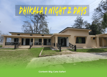 Dhikala 1 night 2 days