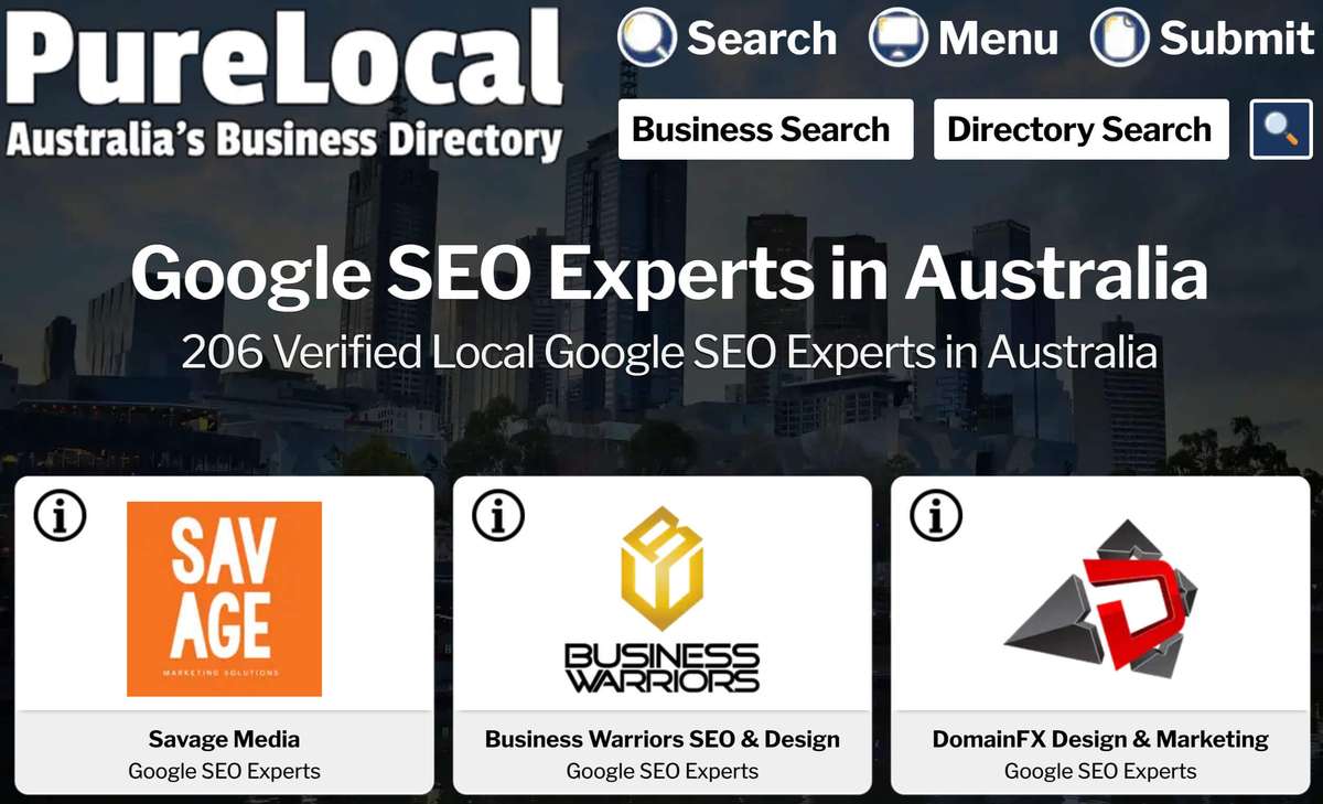 Google SEO Experts Business Listings