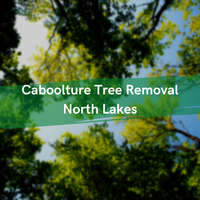 Caboolture Tree Removal Logo