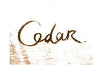 Cedar Music Logo