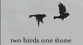 Two Birds One Stone Cafe Logo
