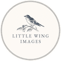 Little Wing Images