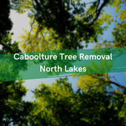 Caboolture Tree Removal - Directory Logo