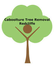 Caboolture Tree Removal Redcliffe - Directory Logo