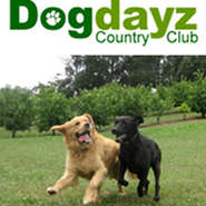 Dogdayz Country Clubs - Directory Logo