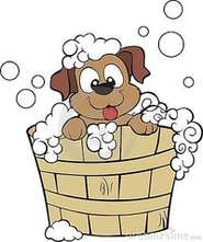 Hobart Mobile Dog Wash and Grooming - Barking Bubbles - Directory Logo