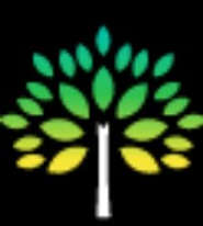 Black Forest Tree Service - Directory Logo