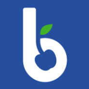 Blue Cherry Online Marketing - Directory Logo