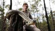 Best Professional Services - Josh The Snake Catcher