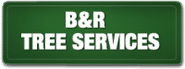 B and R Tree Services - Directory Logo