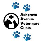 Ashgrove Avenue Veterinary Clinic — Ashgrove, QLD