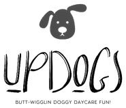 UpDogs Daycare Perth
