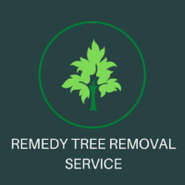 Tree Surgeons & Arborists in Berkeley, California