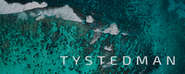 Ty Stedman Photography - Directory Logo