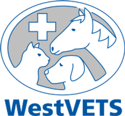 Westvets Veterinary Clinic