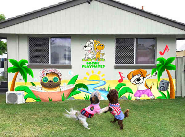 Doggie Playmates Daycare and Grooming - Pet Groomers In Tweed Heads