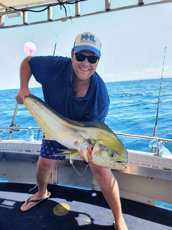 Mahi Mahi Gold Coast Fishing -Dolphin fish -Dollies - True Blue Fishing  Charters